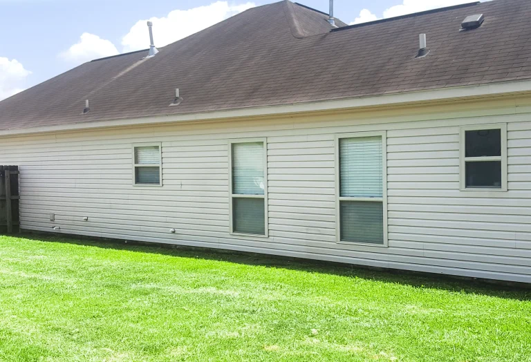 white-wall-cleaning cleaned